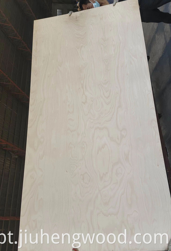 Birch Plywood